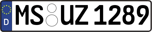 MS-UZ1289