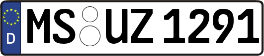 MS-UZ1291