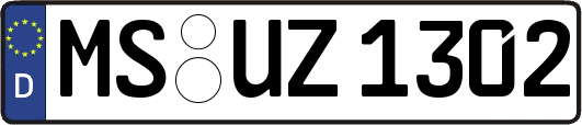 MS-UZ1302