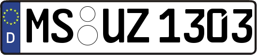 MS-UZ1303