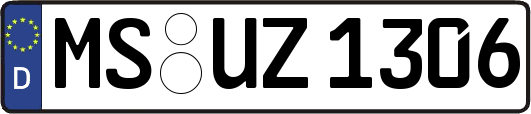MS-UZ1306