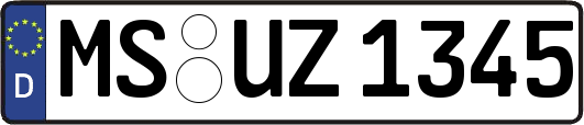 MS-UZ1345