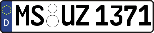 MS-UZ1371