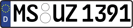 MS-UZ1391