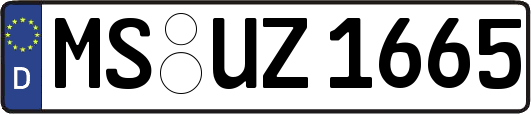 MS-UZ1665