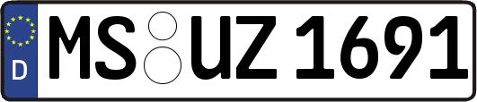MS-UZ1691