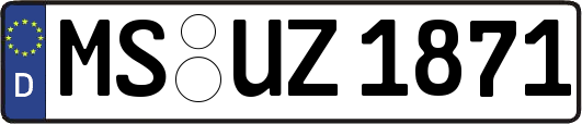 MS-UZ1871