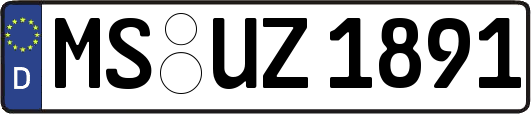 MS-UZ1891