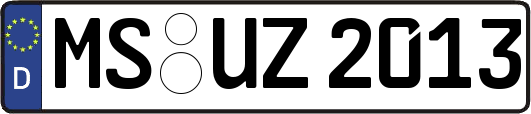 MS-UZ2013