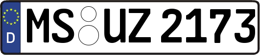 MS-UZ2173