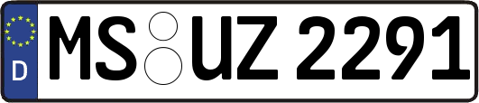 MS-UZ2291