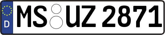 MS-UZ2871