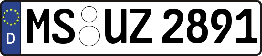 MS-UZ2891