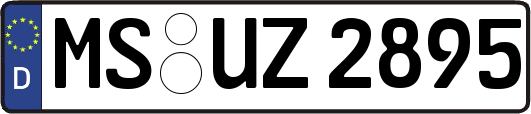 MS-UZ2895