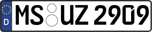 MS-UZ2909
