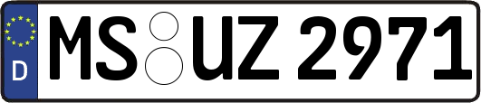 MS-UZ2971