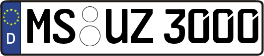 MS-UZ3000