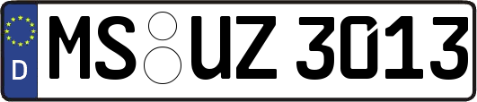 MS-UZ3013