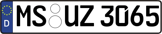 MS-UZ3065