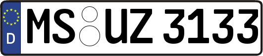 MS-UZ3133