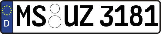 MS-UZ3181