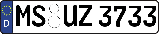 MS-UZ3733