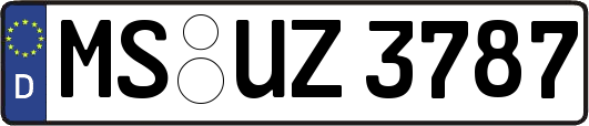 MS-UZ3787