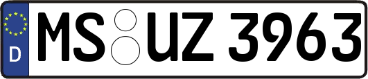 MS-UZ3963