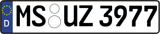 MS-UZ3977