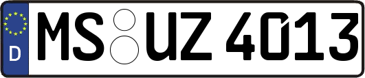 MS-UZ4013