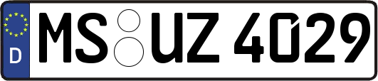 MS-UZ4029