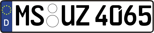 MS-UZ4065
