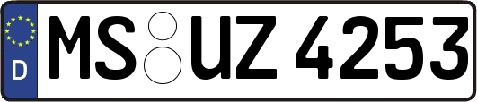 MS-UZ4253