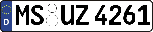MS-UZ4261
