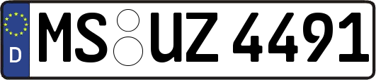 MS-UZ4491