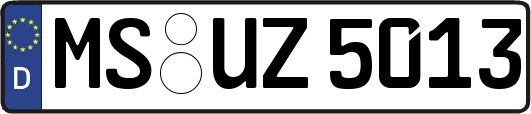 MS-UZ5013