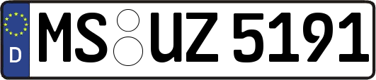 MS-UZ5191