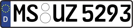 MS-UZ5293