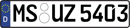 MS-UZ5403