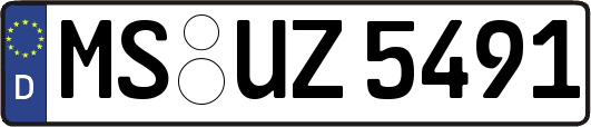 MS-UZ5491