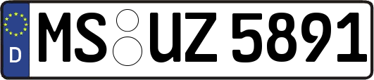 MS-UZ5891
