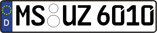MS-UZ6010