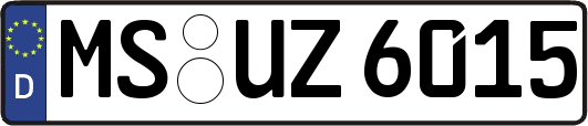 MS-UZ6015