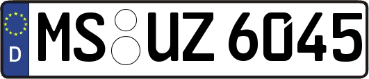 MS-UZ6045