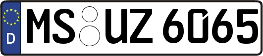 MS-UZ6065