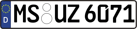 MS-UZ6071