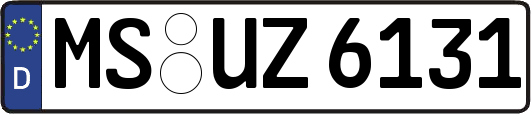 MS-UZ6131