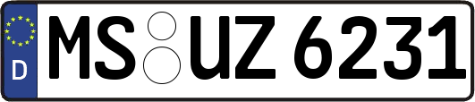 MS-UZ6231