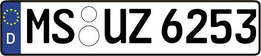 MS-UZ6253