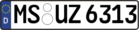 MS-UZ6313